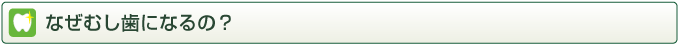 なぜむし歯になるの？