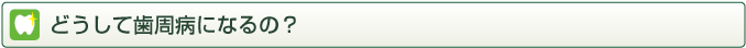 どうして歯周病になるの